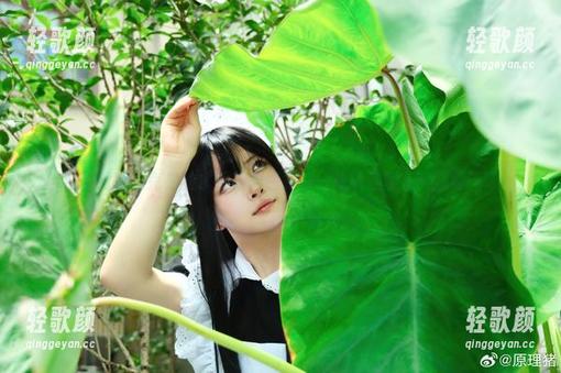 白莉爱吃巧克力的水手服图包，每一张精选都有其独特气味