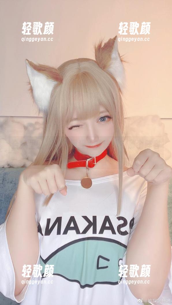 合集里的神探火狸狸，夏鸣蝉？那个阵容可是美到心慌的节奏！